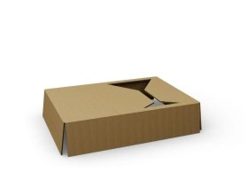 Inlay / cardboard insert