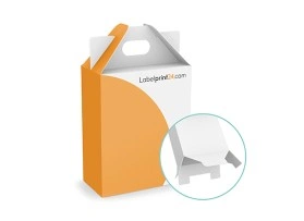Carrying handle box with snap-lock base