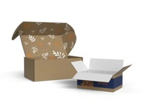 Corrugated cardboard boxes