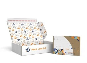 Klappdeckelschachtel mit Klebestreifen