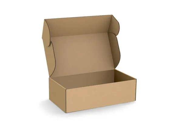 Klappdeckelschachtel-unbedruckt.jpg