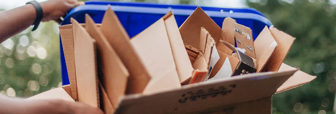 Fachgerechte Entsorgung Fachgerechte Entsorgung