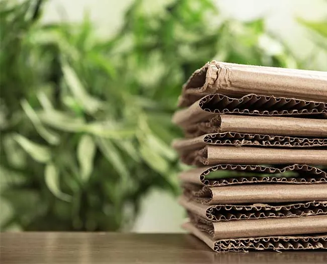 Environmentally friendly cardboard Environmentally friendly cardboard
