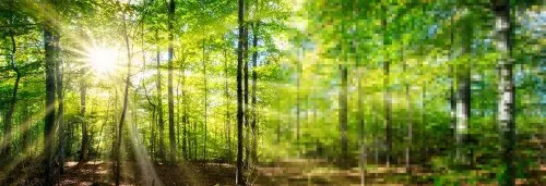 Immer Ärger mit den DPI's?