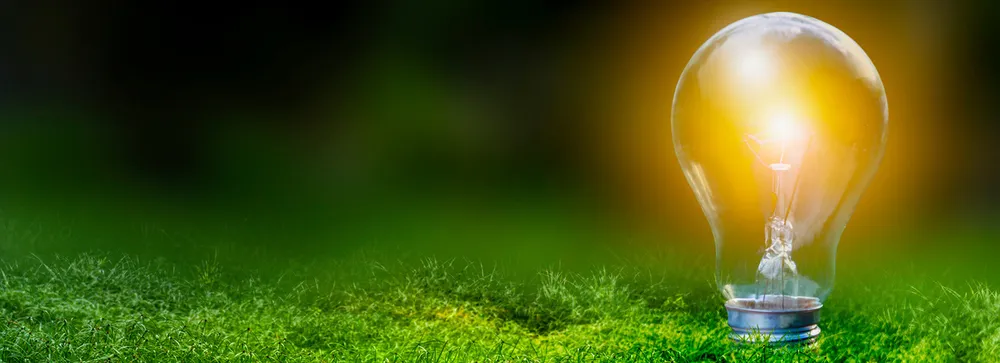 Grüne Wiese auf der eine leuchtende Glühbirne eingeschraubt ist  Grüne Wiese auf der eine leuchtende Glühbirne eingeschraubt ist
