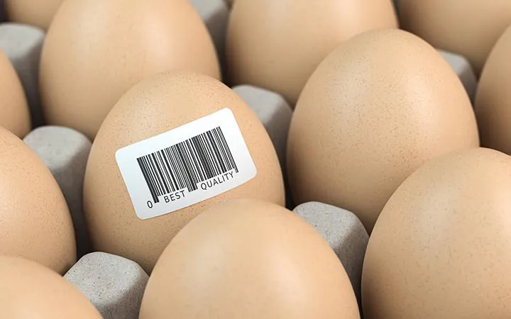 Barcode Etikett auf einem Ei Barcode Etikett auf einem Ei