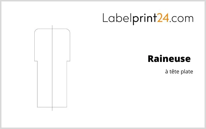 Raineuse à tête plate Raineuse à tête plate