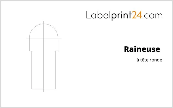 Raineuse à tête ronde Raineuse à tête ronde