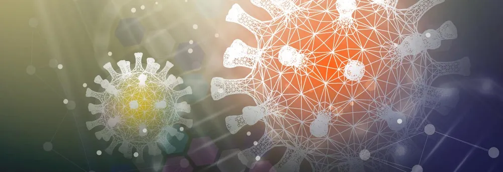 Corona Virus Corona Virus