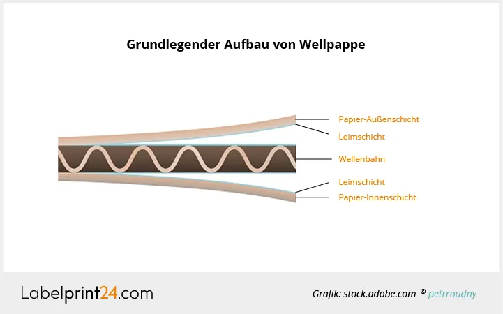 Infografik: Grundlegender Aufbau von Wellpappe Infografik: Grundlegender Aufbau von Wellpappe