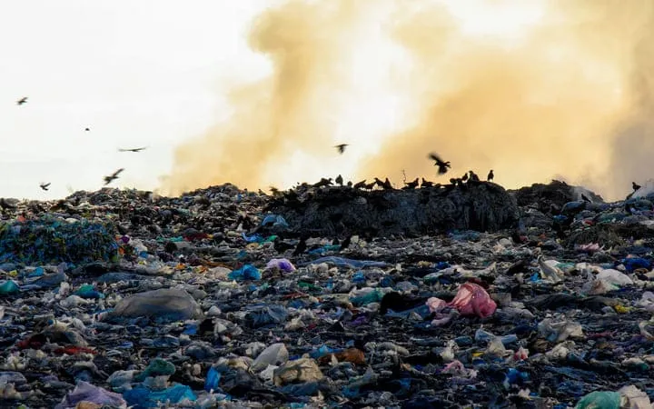 Müllverbrennung Müllverbrennung