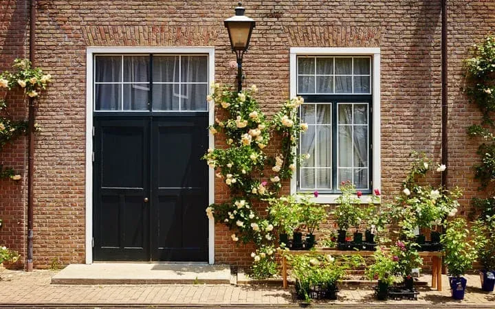 Florale Elemente vor einem Haus Florale Elemente vor einem Haus