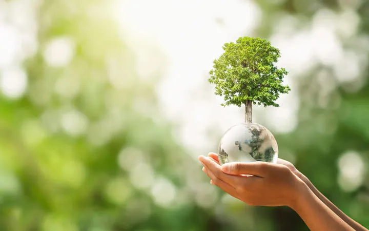 Umwelteinfluss der verschiedenen Rohstoffe Umwelteinfluss der verschiedenen Rohstoffe