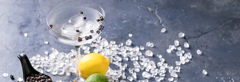 Qualität von Gin und ihren Etiketten  Qualität von Gin und ihren Etiketten