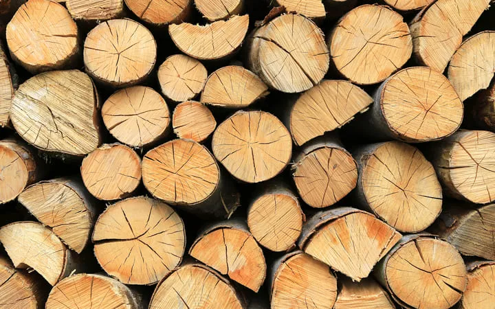 Baumstämme aufeinander gestapelt Baumstämme aufeinander gestapelt