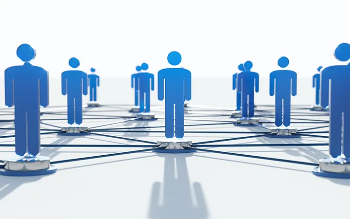 Organisation Organisation