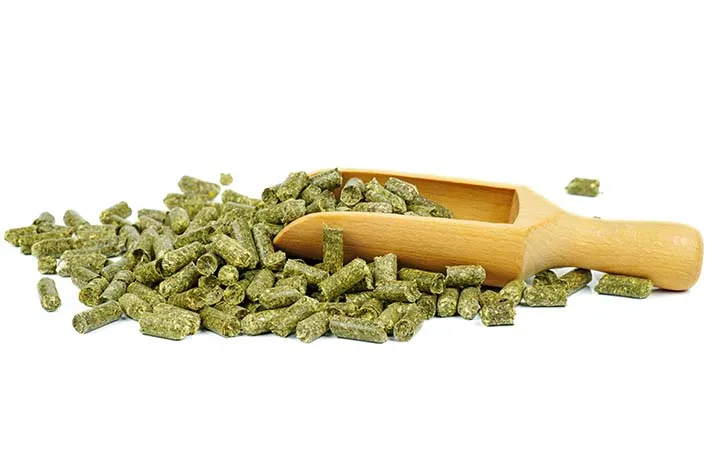 Pelltes aus Glas Pelltes aus Glas