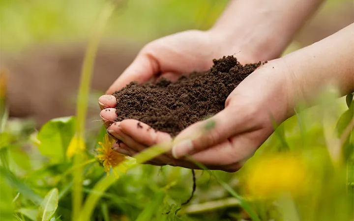 Mensch hält Komposterde in der Hand Mensch hält Komposterde in der Hand