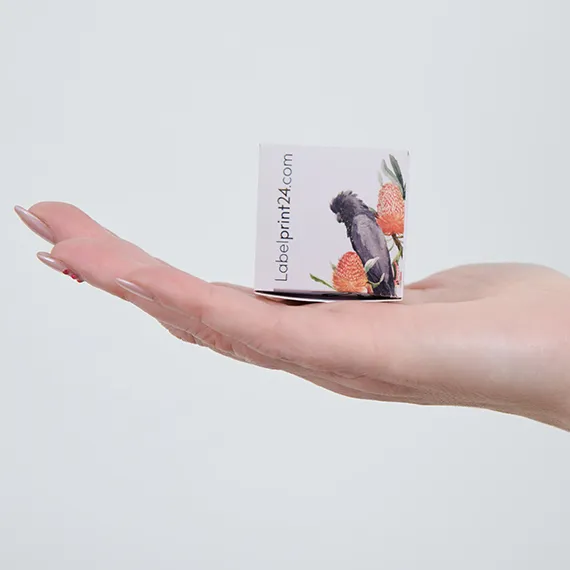 Faltschachtel in Handfläche  Faltschachtel in Handfläche