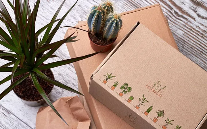 bedruckte, braune Faltschachteln aufeinandergestapelt bedruckte, braune Faltschachteln aufeinandergestapelt