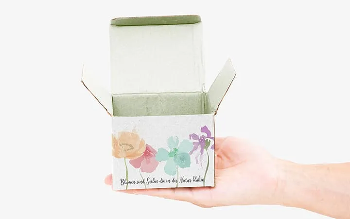 Frau hält kleine, bedruckte Faltschachtel in Hand Frau hält kleine, bedruckte Faltschachtel in Hand