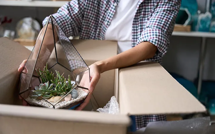 Frau packt Terrarium aus Karton aus  Frau packt Terrarium aus Karton aus