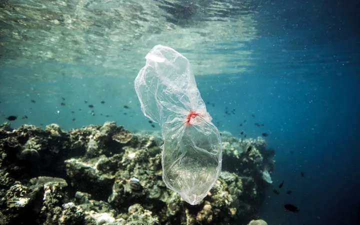 Plastik im Meer Plastik im Meer