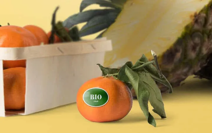 Im Fokus eine Mandarine mit einem Lebensmitteletikett und links im Hintergrund ein Korb voller Mandarinen  Im Fokus eine Mandarine mit einem Lebensmitteletikett und links im Hintergrund ein Korb voller Mandarinen