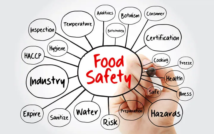 Eine Mindmap zum Thema "Food Safety" mit Begriffen wie: Temperatur, Industrie, Risiko etc. Eine Mindmap zum Thema "Food Safety" mit Begriffen wie: Temperatur, Industrie, Risiko etc.