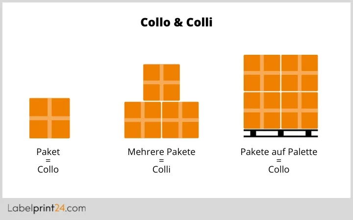 Unterschied Collo und Colli Unterschied Collo und Colli